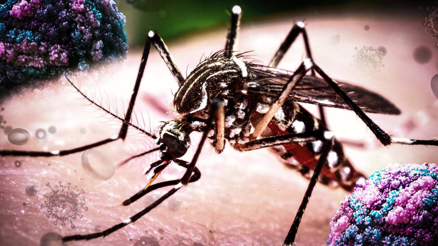 Kanpur: Zika virus cases cross 100; Adityanath to hold meeting