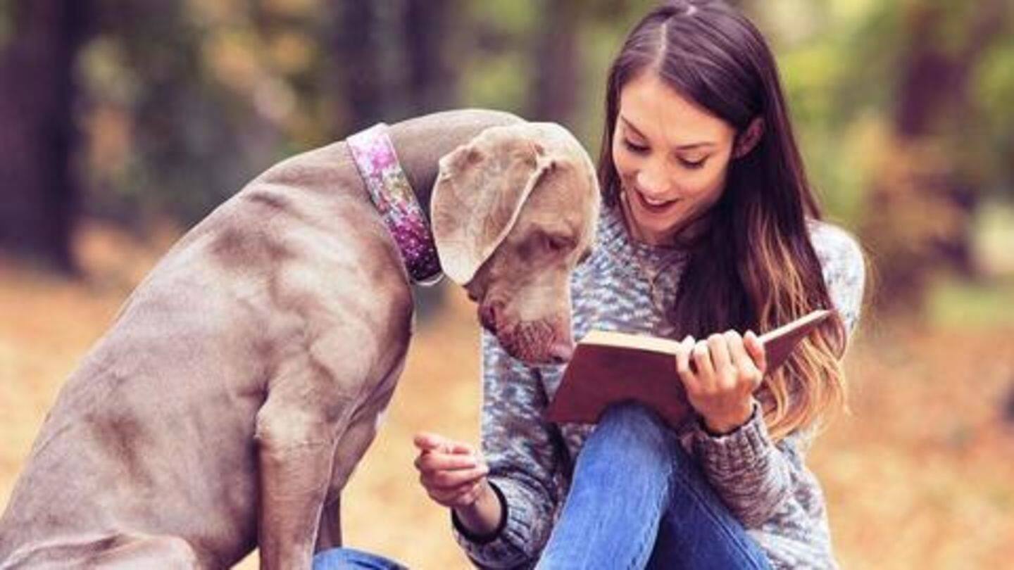 Take out time to train your pooch/cat Take out time to train your pooch/cat