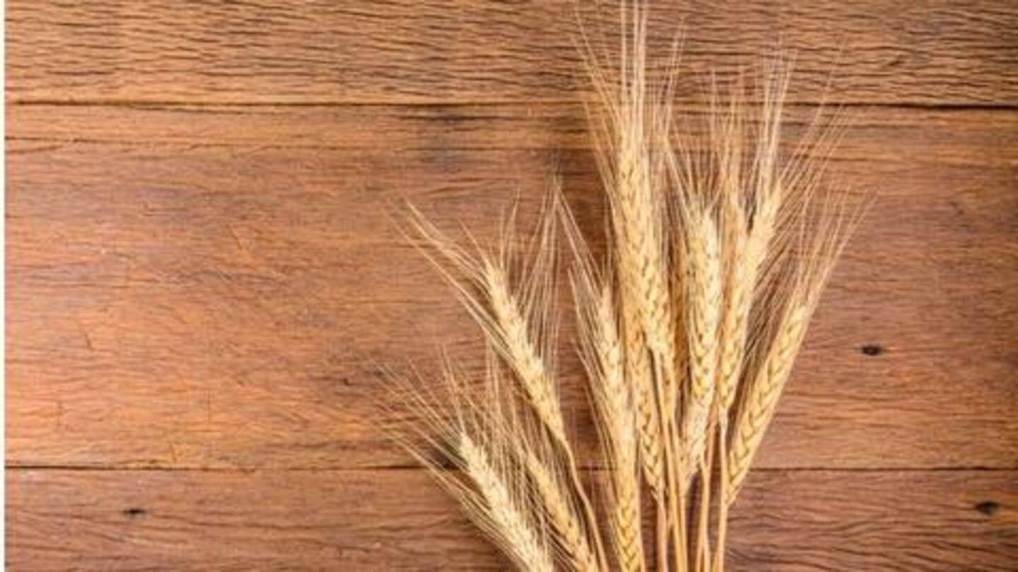 Weight loss: Soluble fibers in barley reduce appetite, aid weight-loss Weight loss: Soluble fibers in barley reduce appetite, aid weight-loss