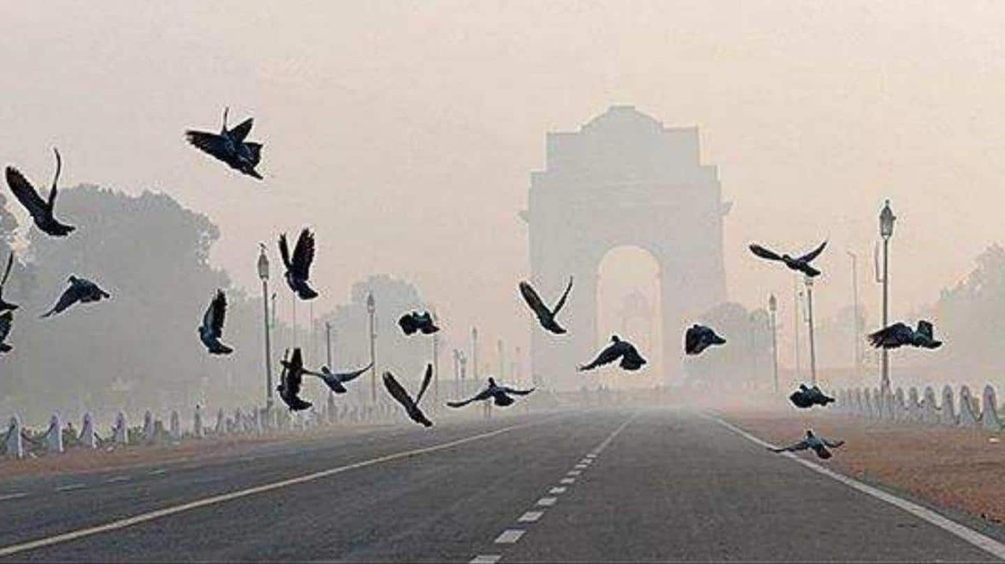 Delhi: Clear skies make this February one of the warmest