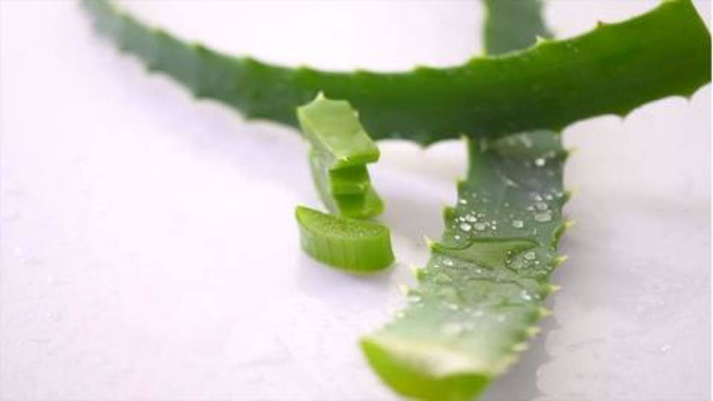 Aloe vera gel mask using either olive or coconut oil Aloe vera gel mask using either olive or coconut oil