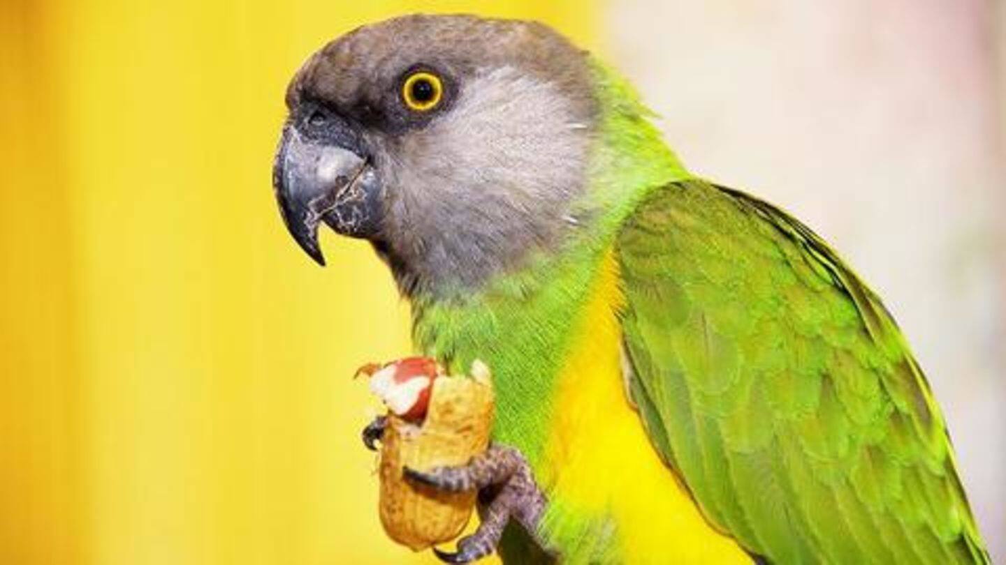 Five amazing facts about animals you should know NewsBytes