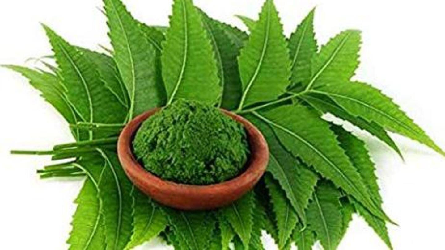 #HealthBytes: Top 6 health benefits of Neem