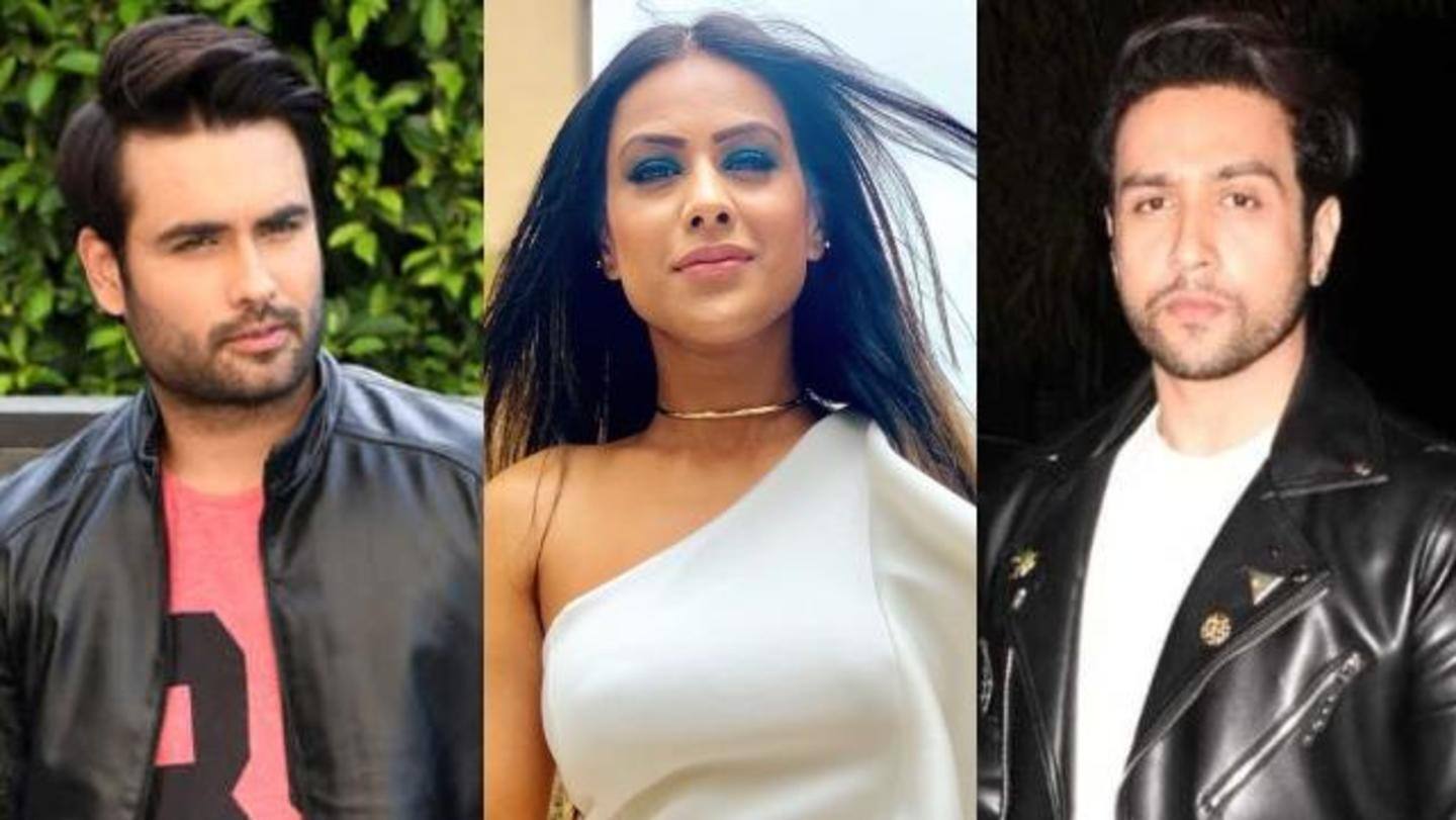 'Bigg Boss 14': Adhyayan Suman, Nia Sharma, Vivian to participate?