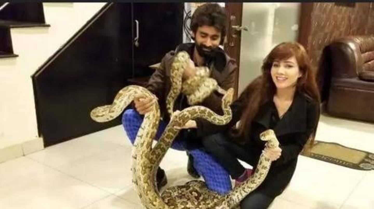 Further, the authorities are trying to locate the captured animals Further, the authorities are trying to locate the captured animals