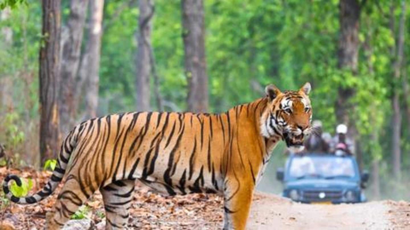 Jim Corbett National Park Jim Corbett National Park