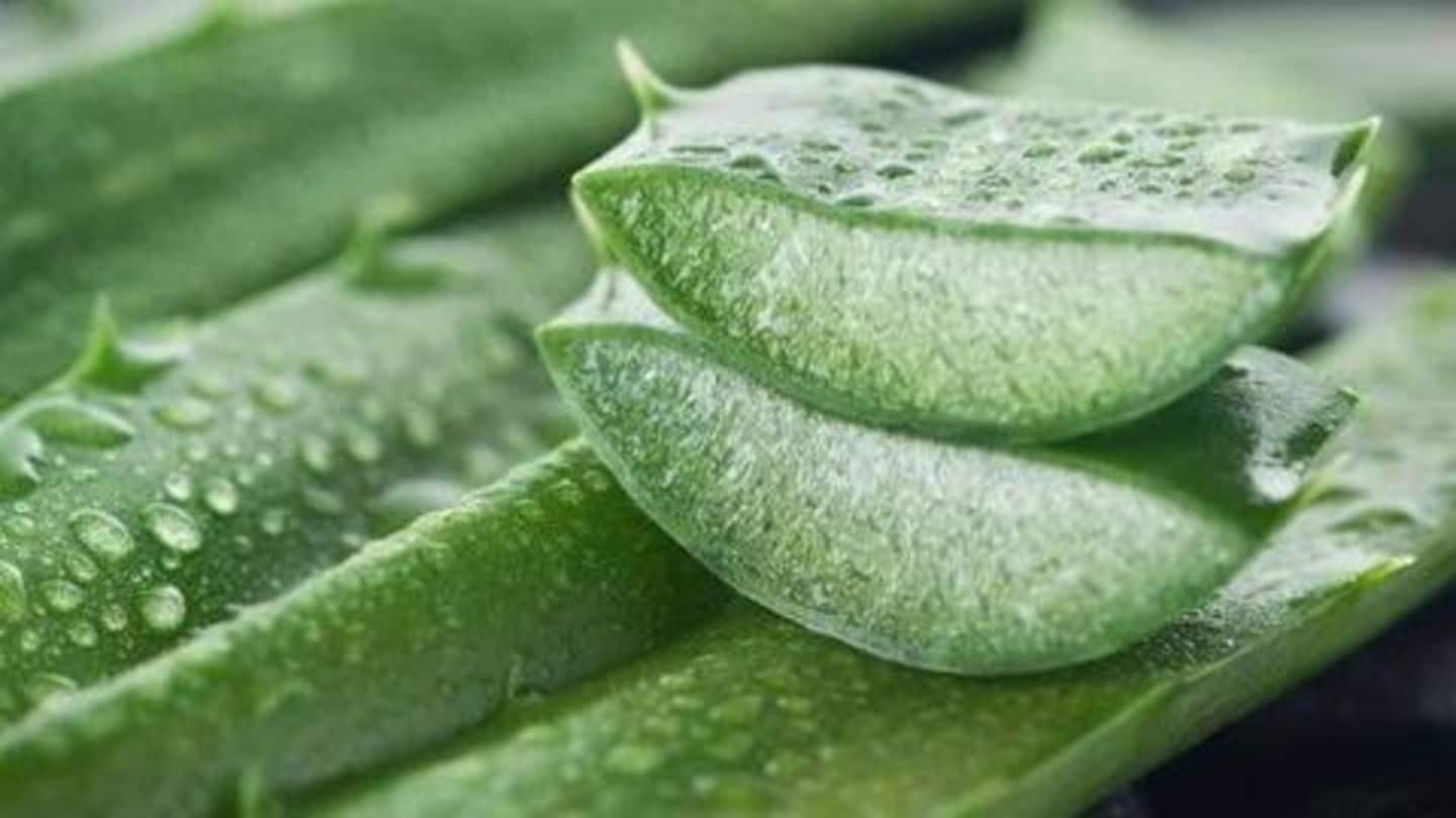 Vinegar, Aloe vera can help maintain pH level of hair Vinegar, Aloe vera can help maintain pH level of hair