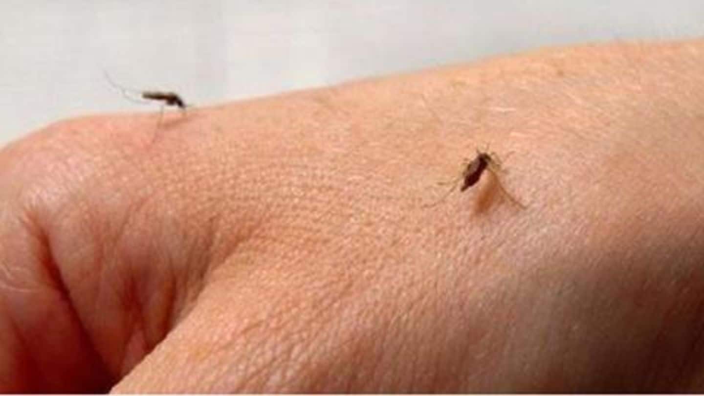 Tips to protect yourself from mosquito bites this monsoon