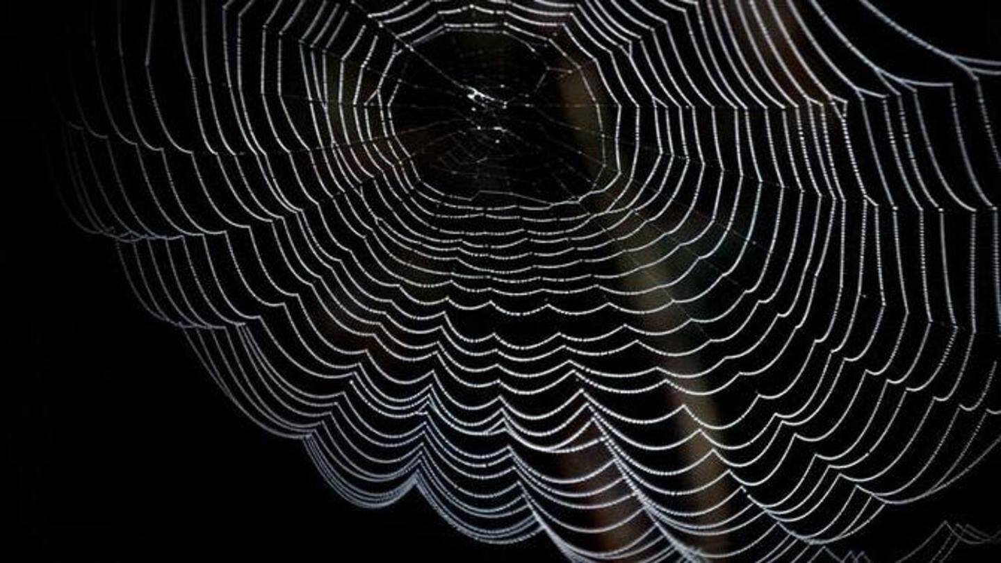 This is how you can access the Dark Web | NewsBytes