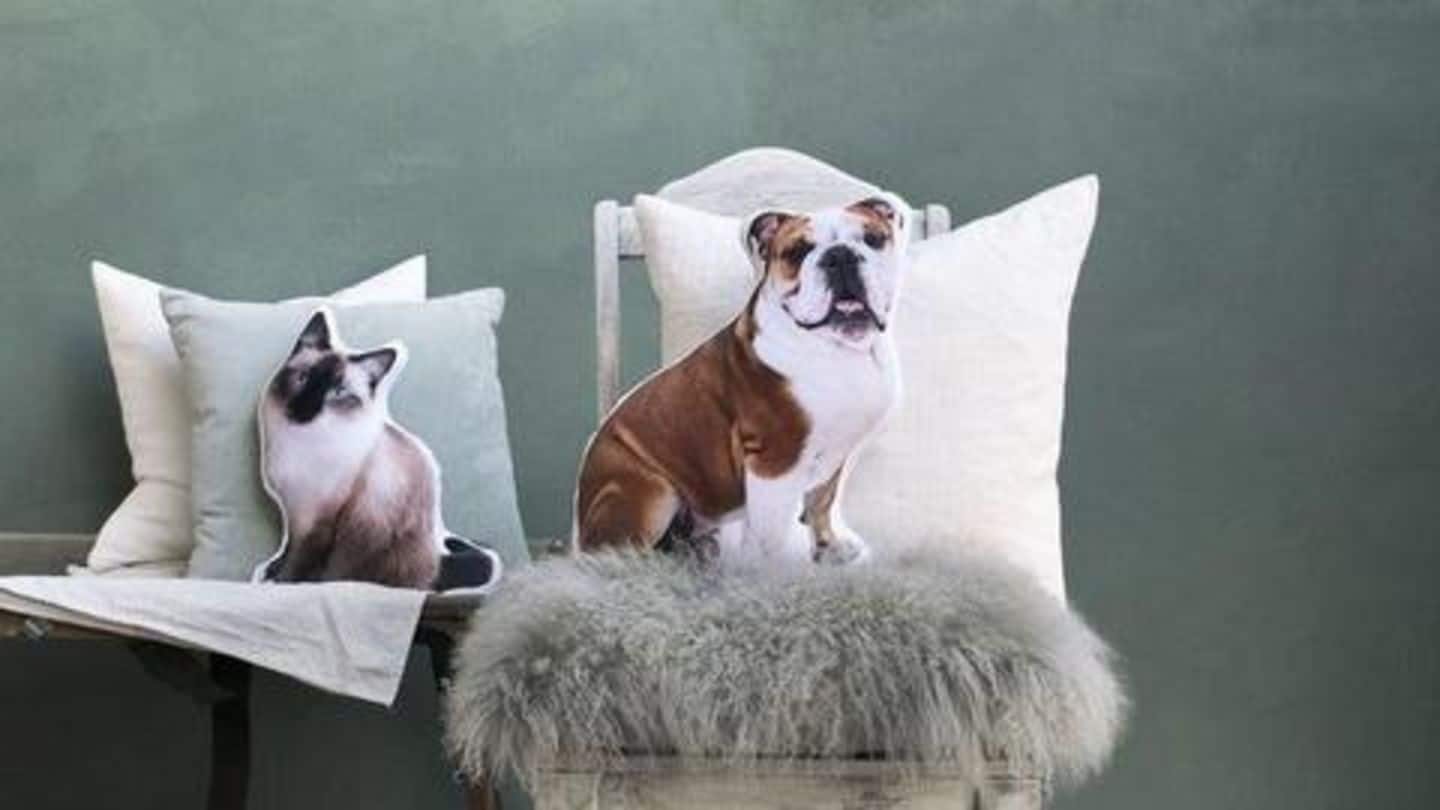 Pet-shaped pillows and Custom pet tag Pet-shaped pillows and Custom pet tag