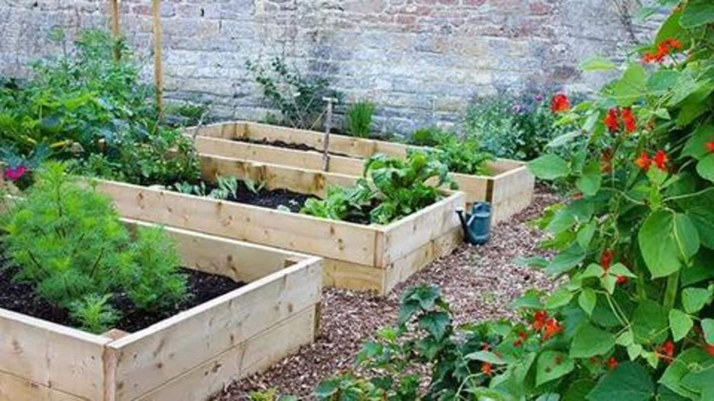 Here's how you can set up a garden at home | NewsBytes