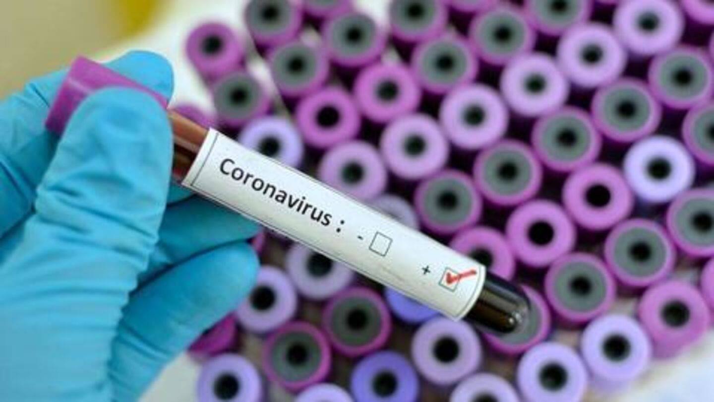 COVID-19 has killed 331 in India COVID-19 has killed 331 in India