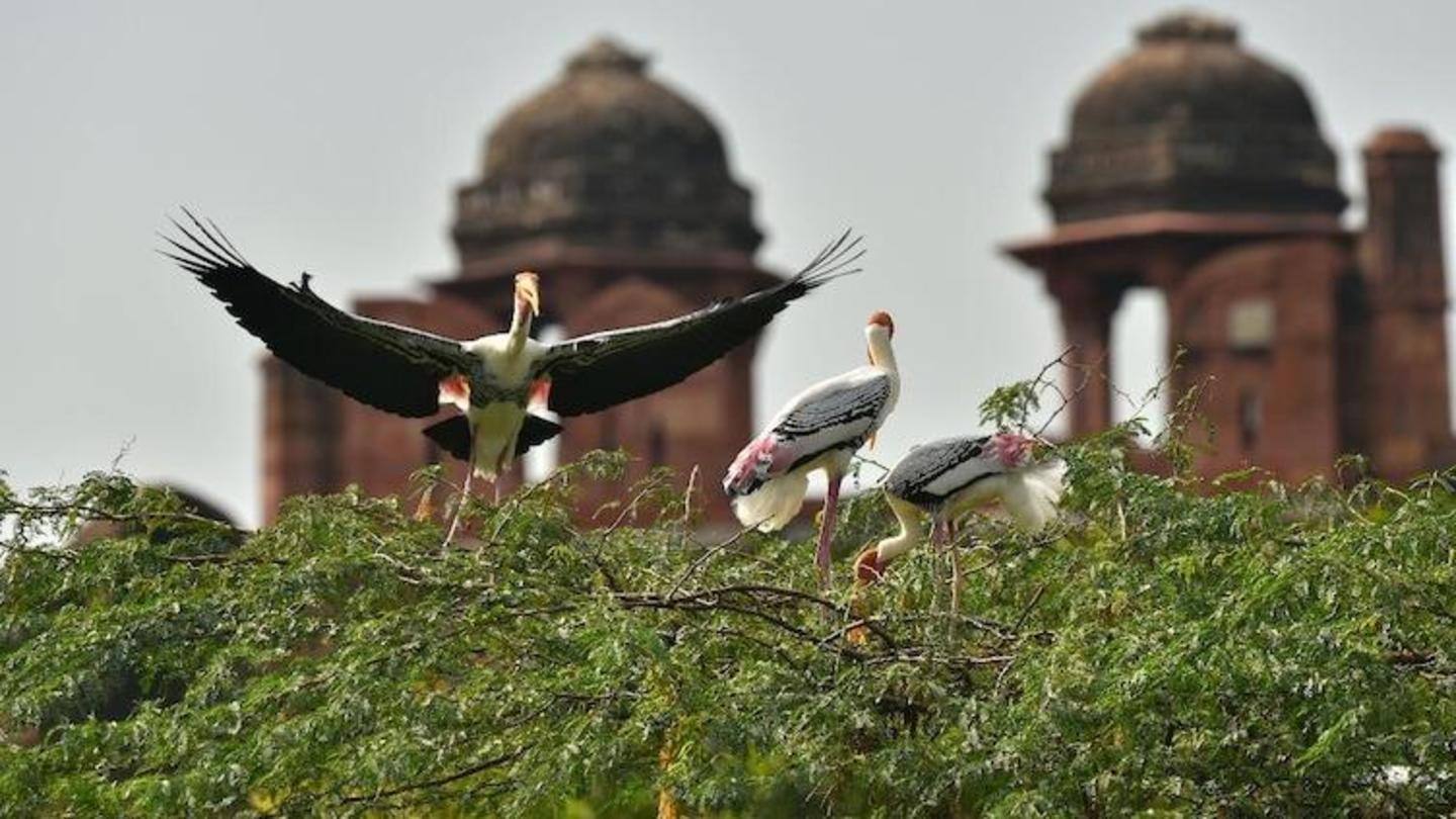 Earlier, several states reported cases of bird flu Earlier, several states reported cases of bird flu