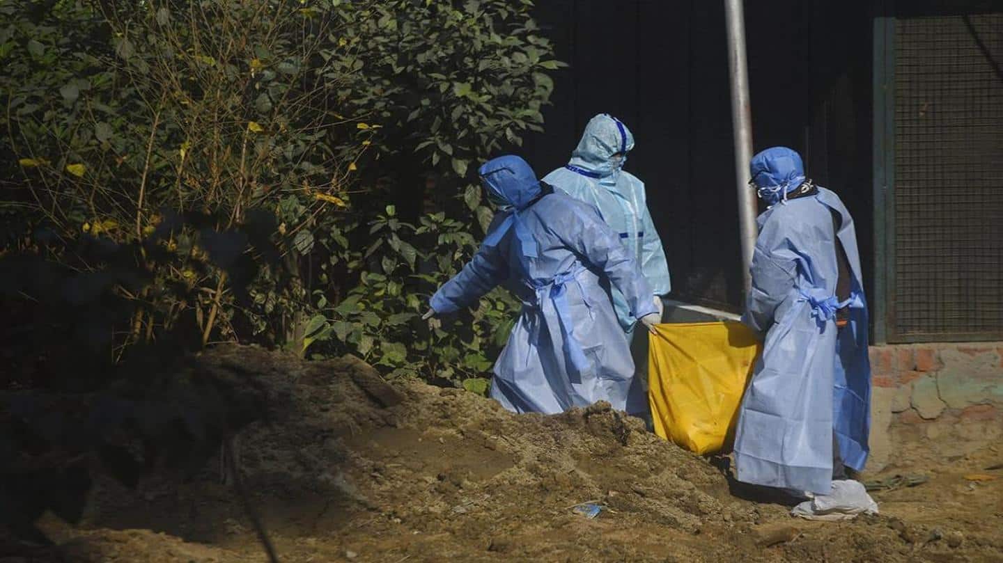 What is bird flu? What is bird flu?
