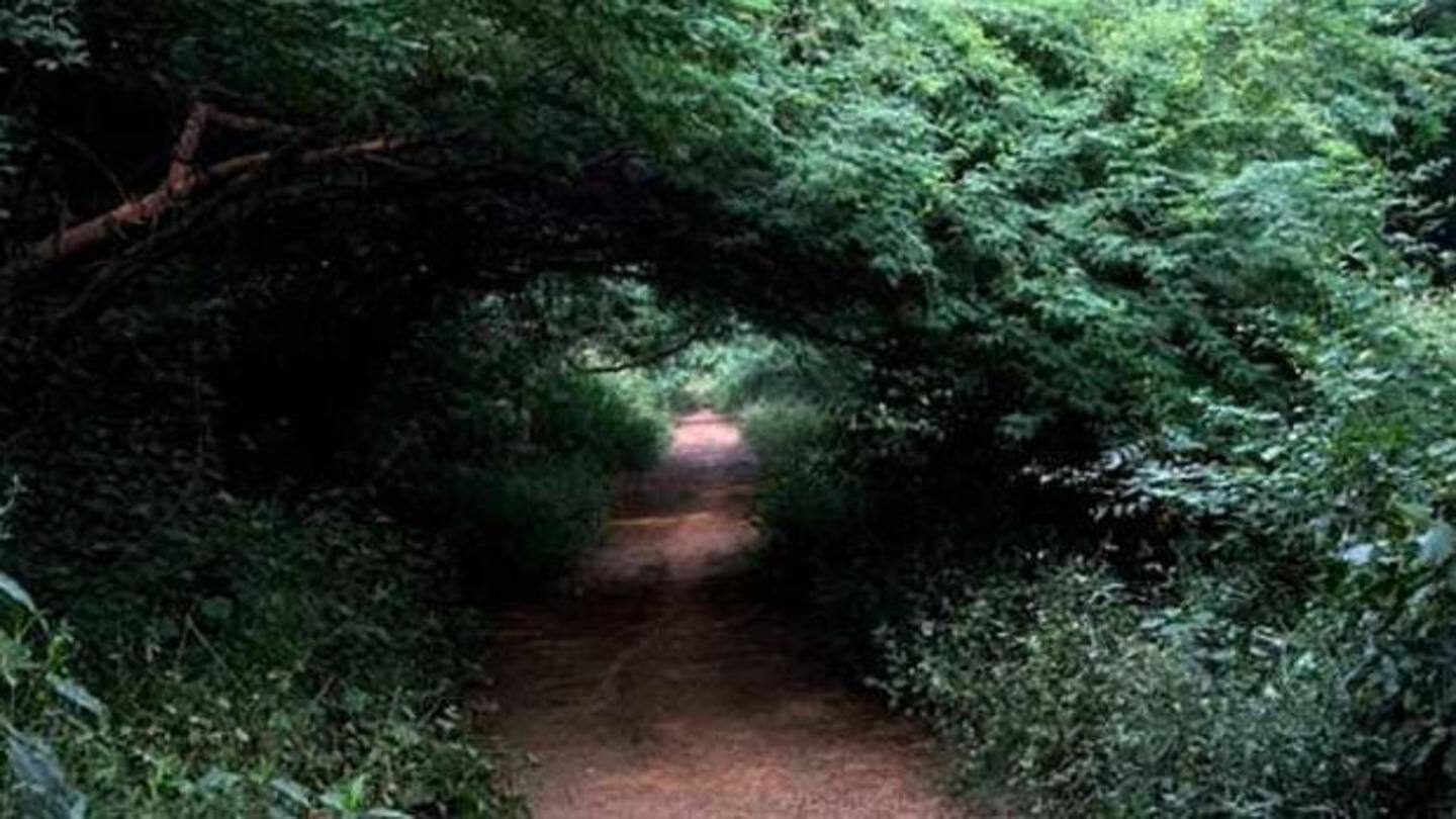 The place not to be at, during night time The place not to be at, during night time