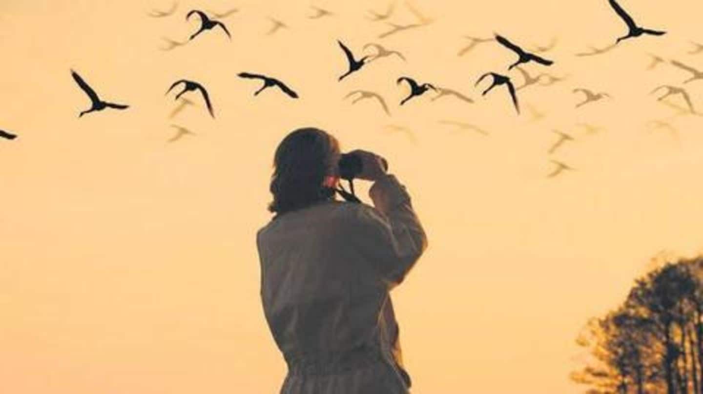 Love Bird-watching? Here are top five places you should visit