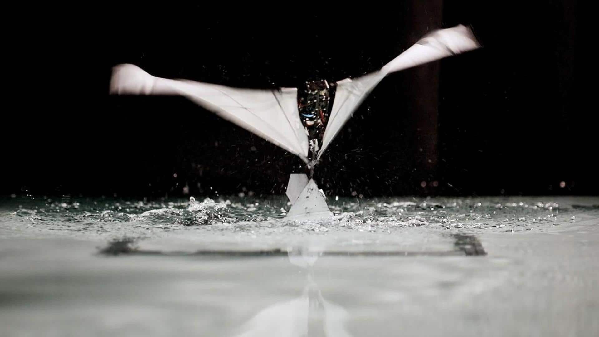 MIT's new robot can both fly and swim
