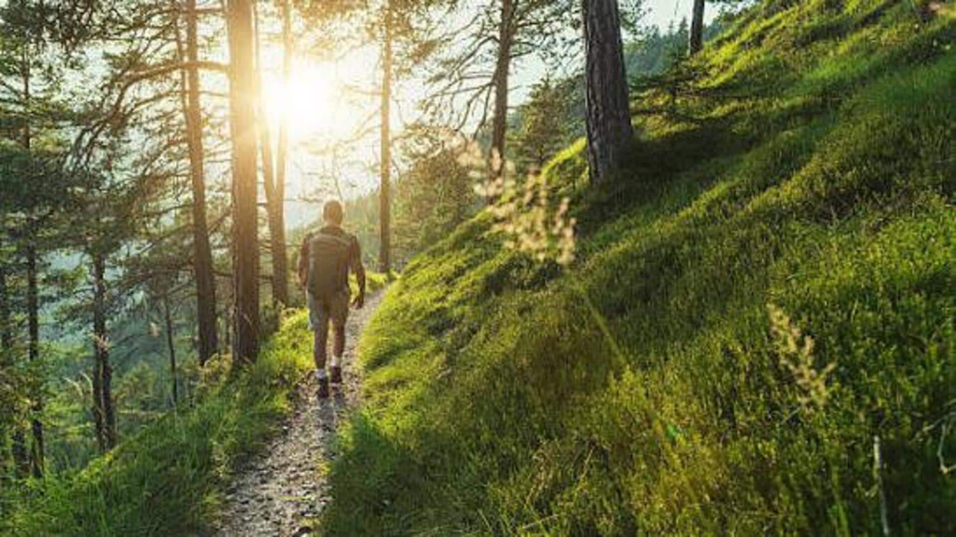 Slovenia's magical forest hikes: A list