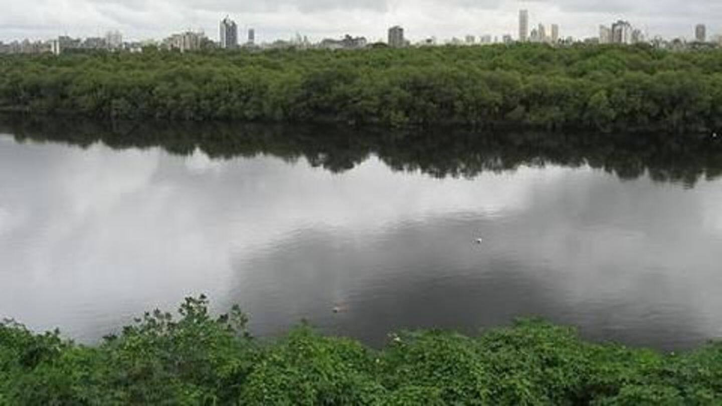 Maharashtra govt to regulate river waters in state