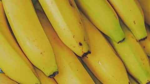 Office workers in this country are growing bananas on desks