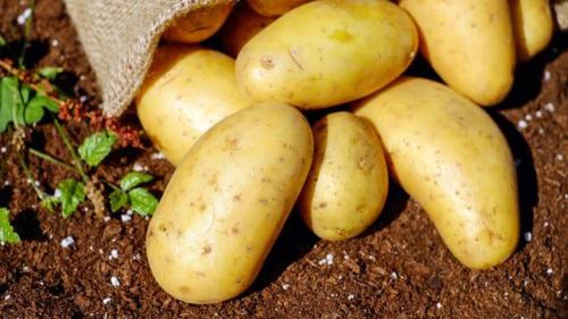 Koorka: The Chinese potato you need to try