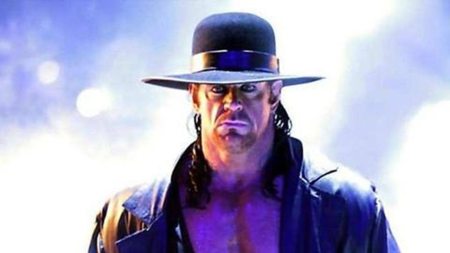 Most SummerSlam and Survivor series matches ever in WWE history Most SummerSlam and Survivor series matches ever in WWE history