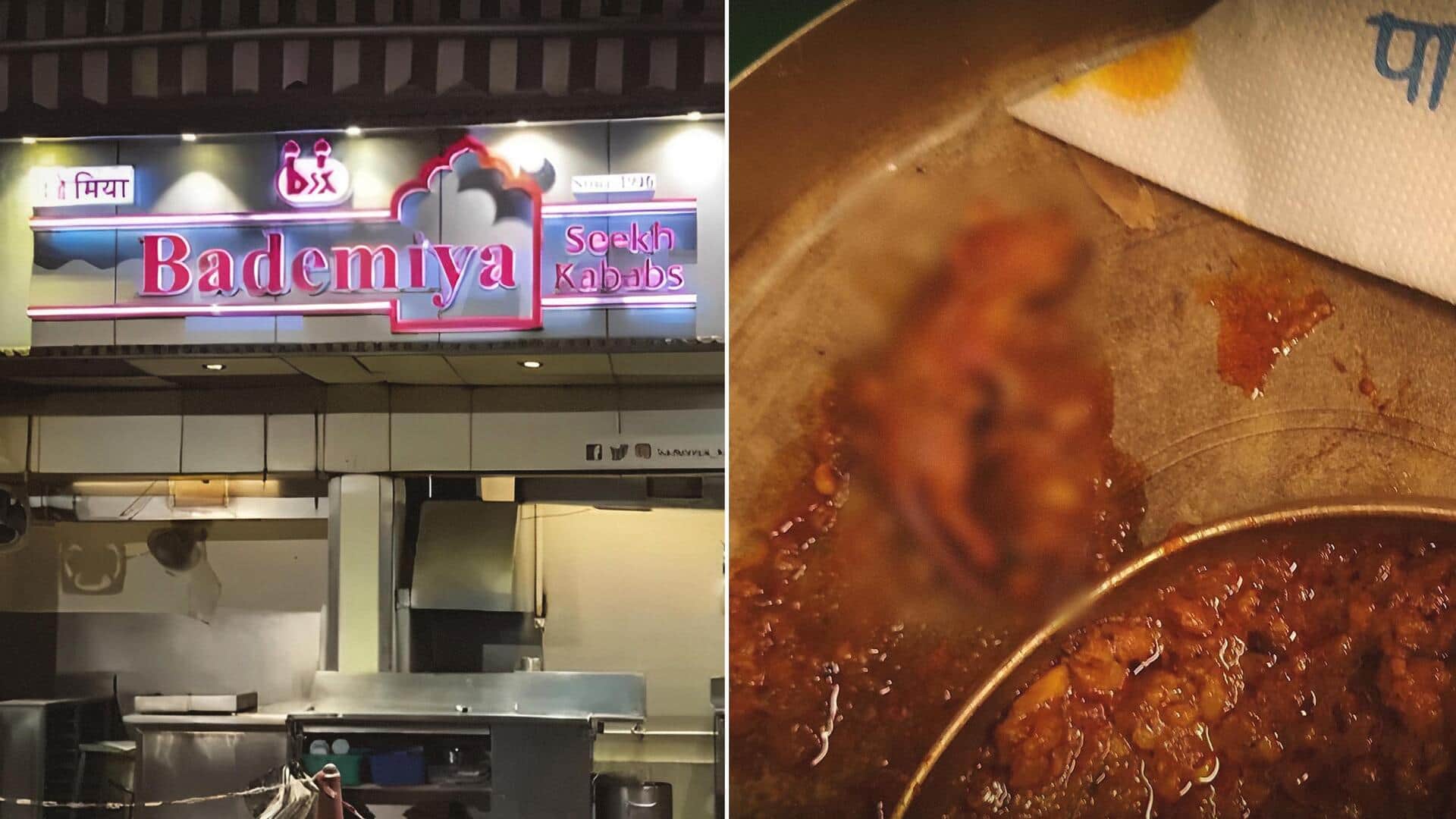 Mumbai: Iconic eatery Bademiya sealed after FDA finds rats, cockroaches