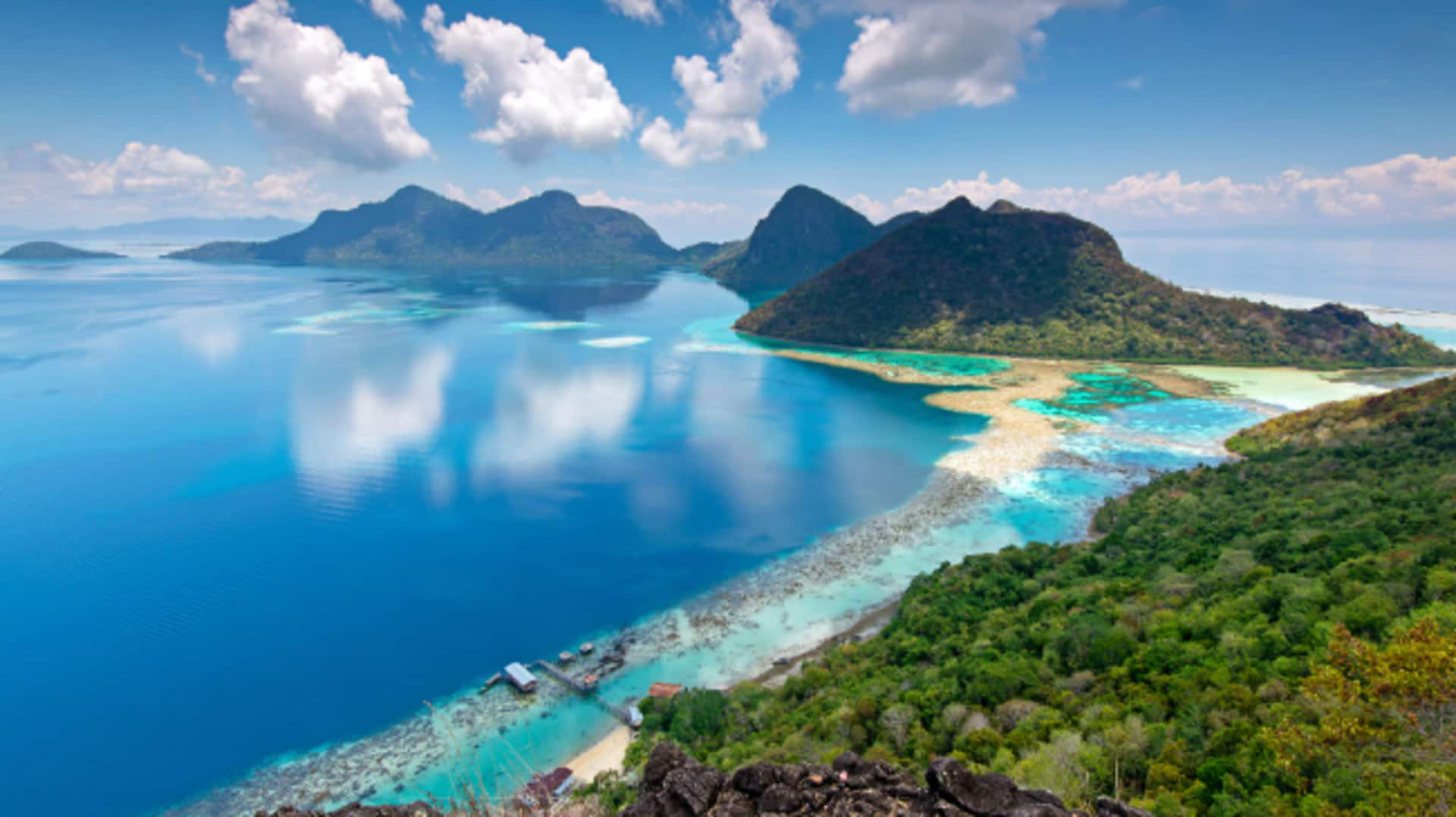 Borneo's rainforest canopy: A journey above the trees