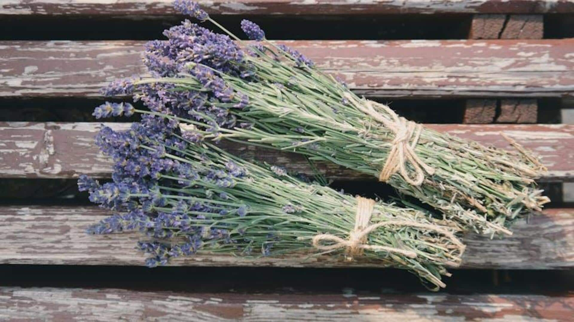 Heavenly gourmet delights with aromatic lavender