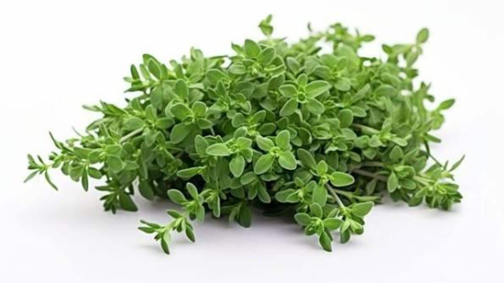 What is thymol? Here's why it is trending in health