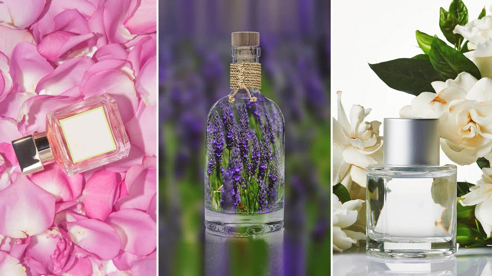Stress Awareness Month: 5 fragrances that reduce stress and how
