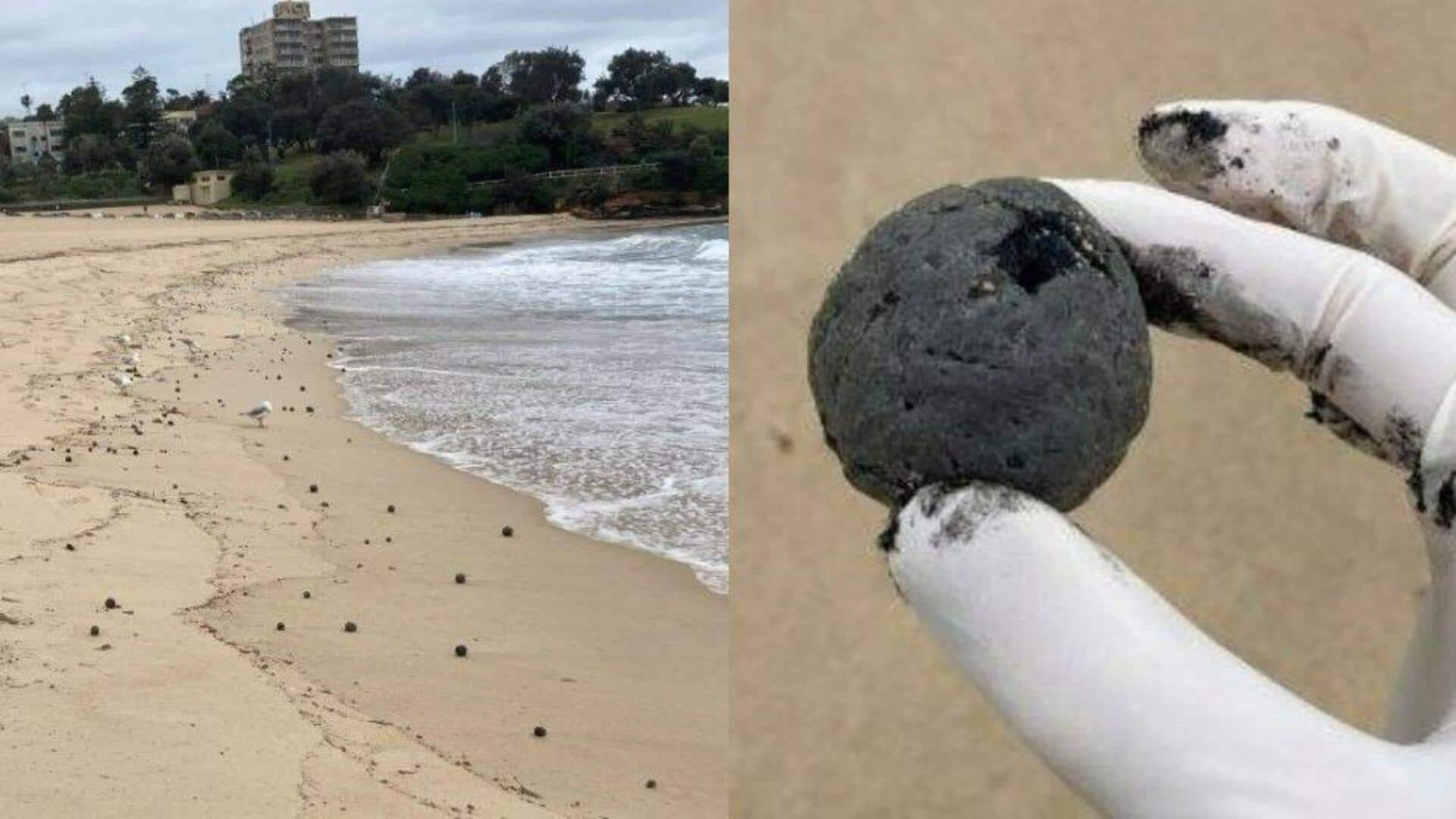 Mysterious black balls on Sydney beach identified as foul-smelling 'fatbergs'