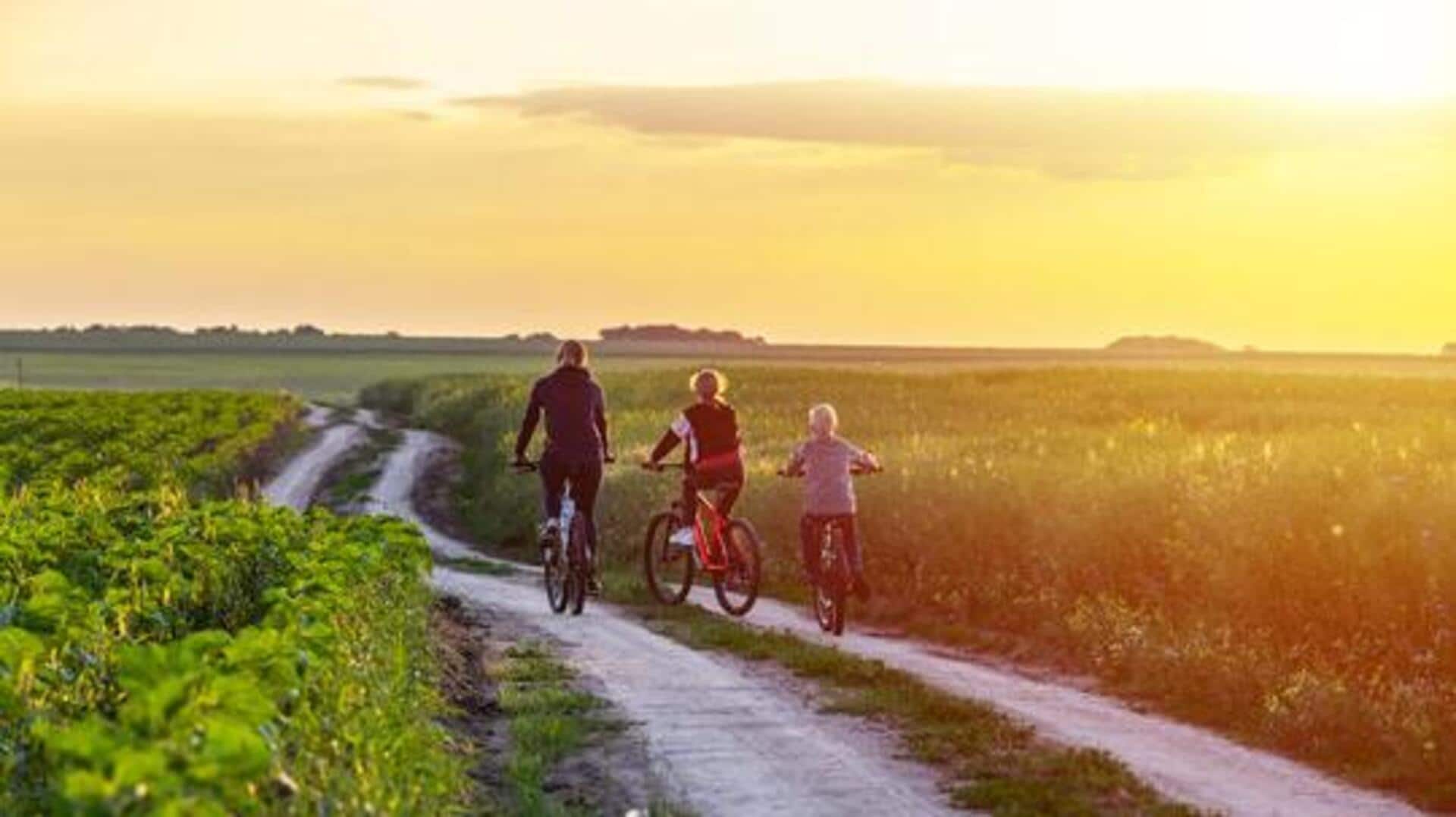 How to explore the Dutch countryside