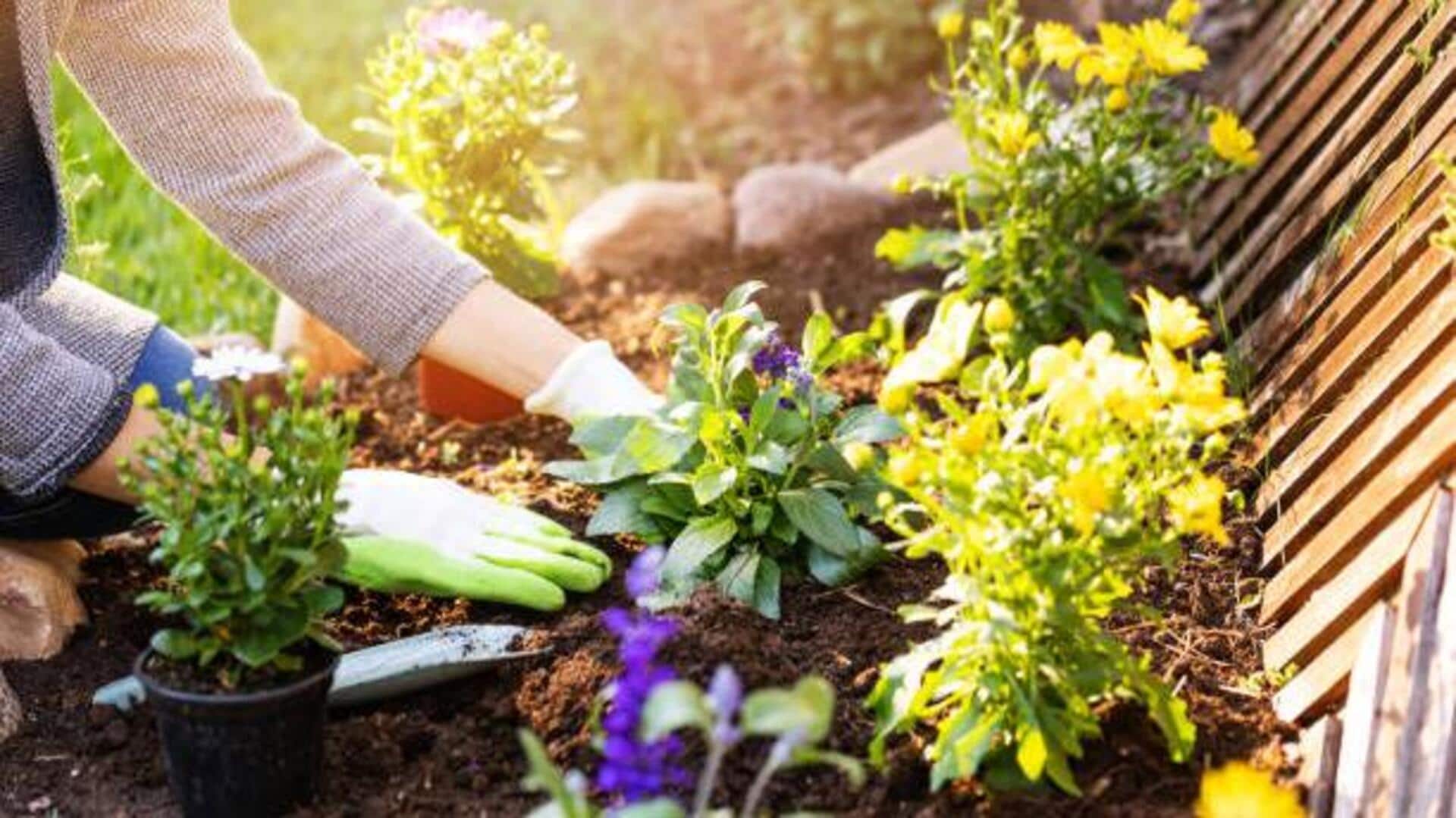 How microclimates affect your home garden 