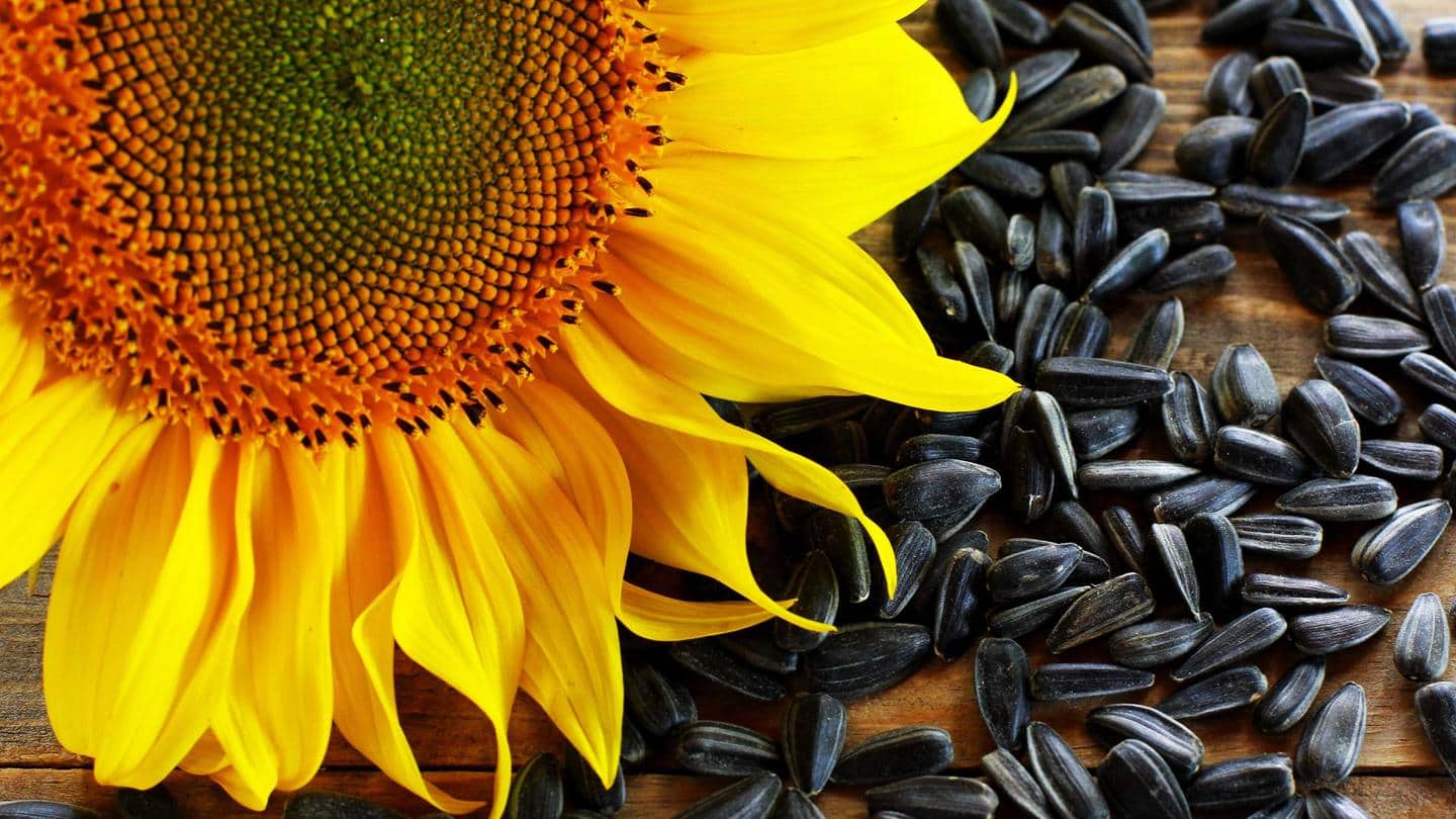 5 amazing benefits of sunflower seeds