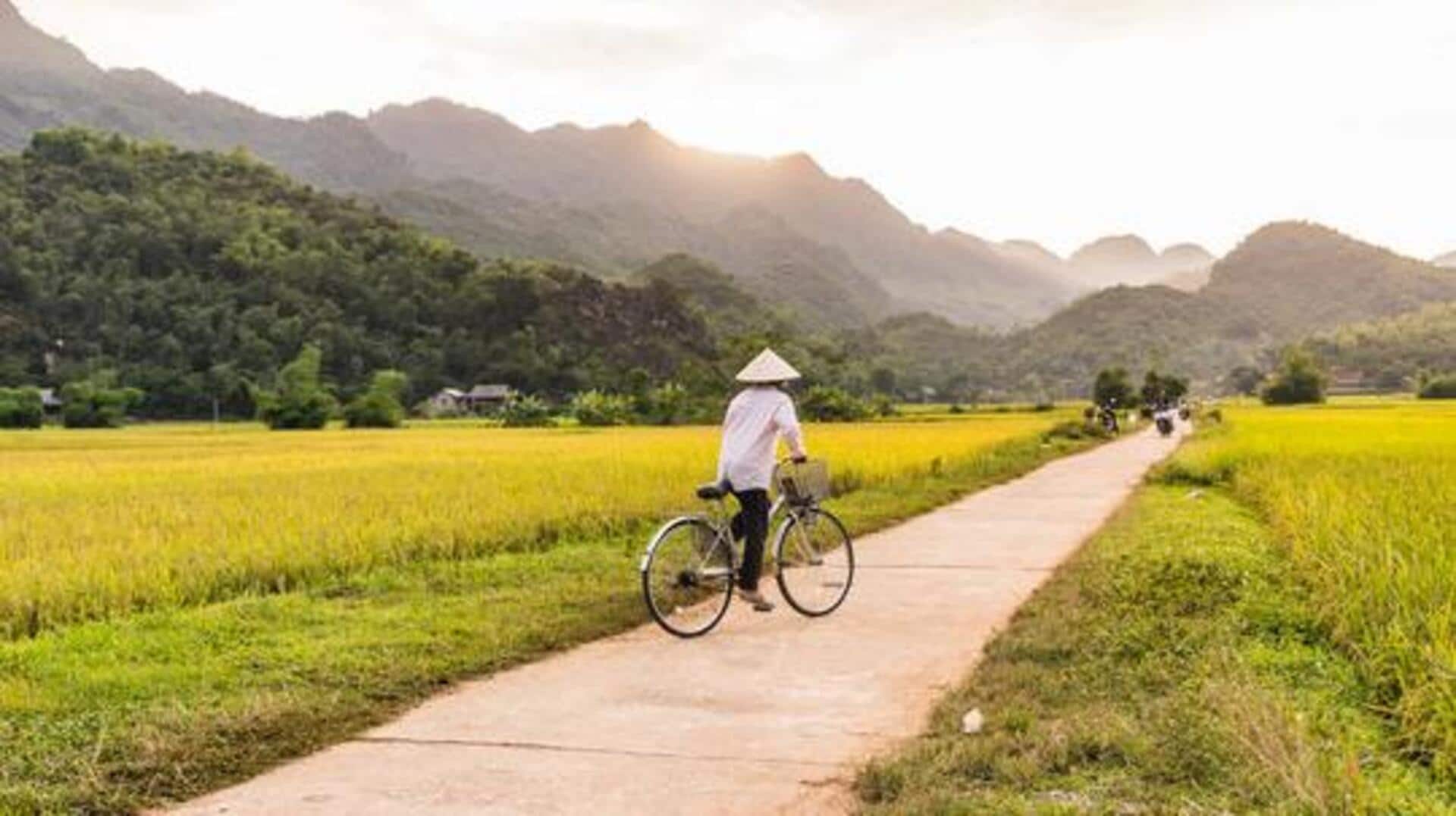 Explore Vietnam's stunning rice fields on a bicycle