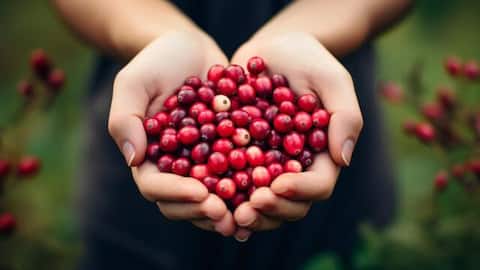 Why cranberries are a nutritional powerhouse