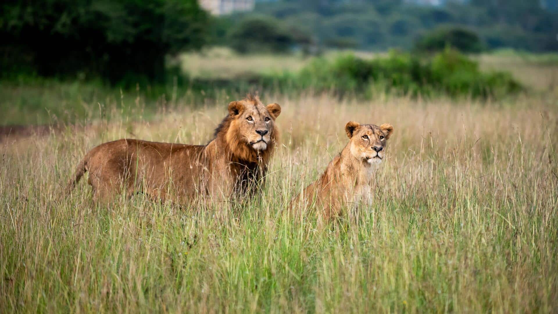 5 overrated tourist spots in Kenya