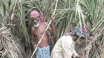 Adiyanath to grant Rs. 5,535crore to sugar mills: Details here