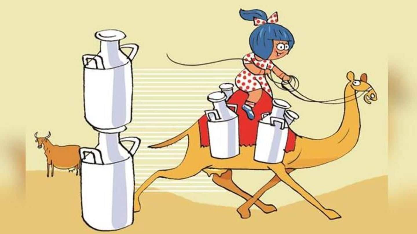 Amul's Diwali gift to Ahmedabad? 'Fresh deodorized' camel milk!