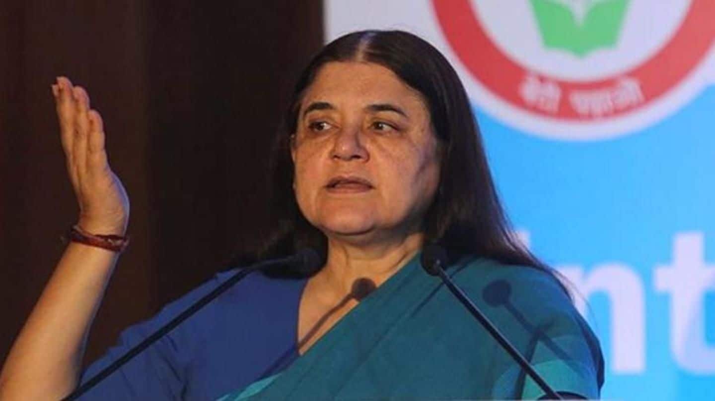 Take sexual allegations seriously: Maneka Gandhi to Centre