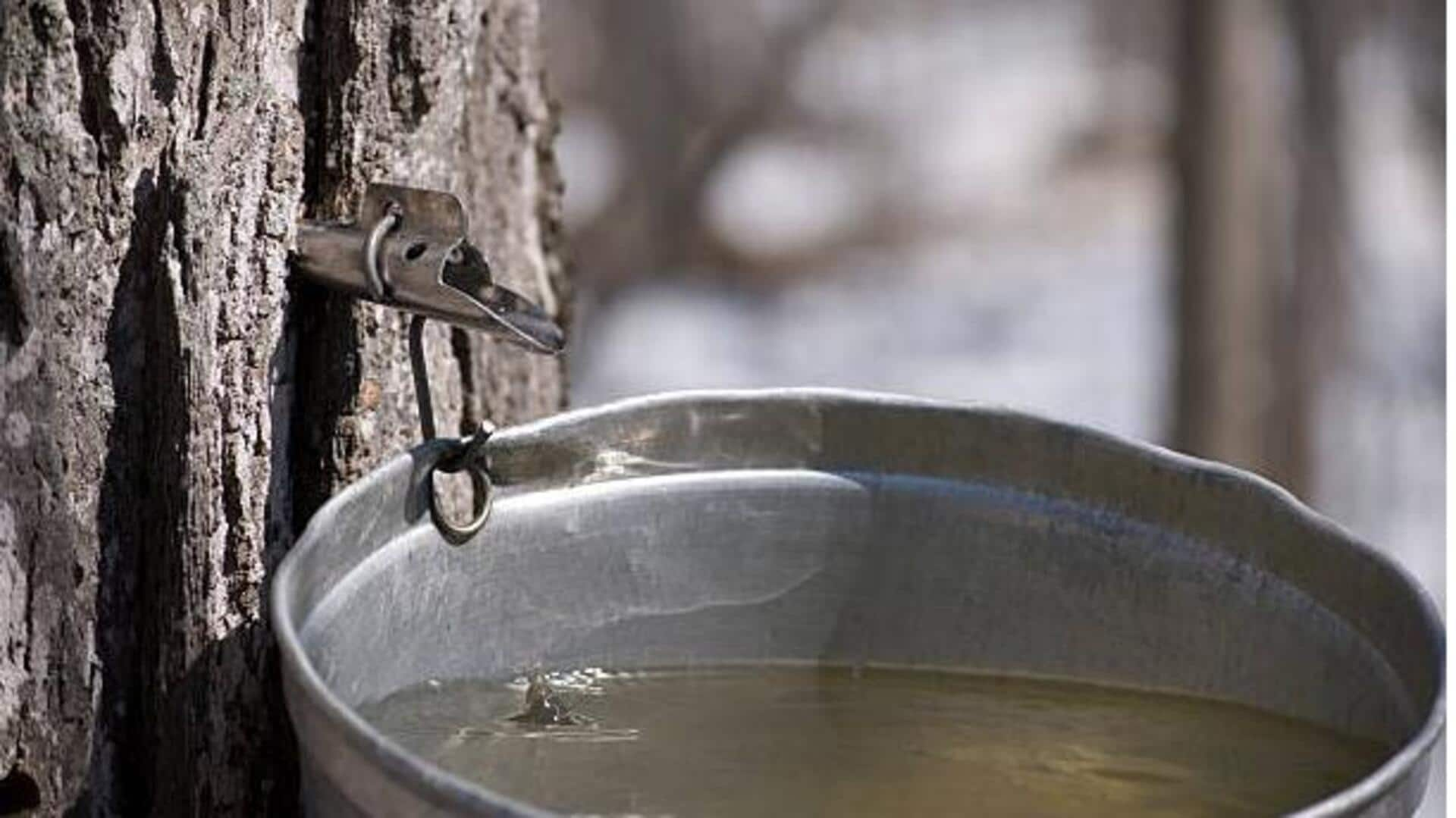 Maple water: You must try this!