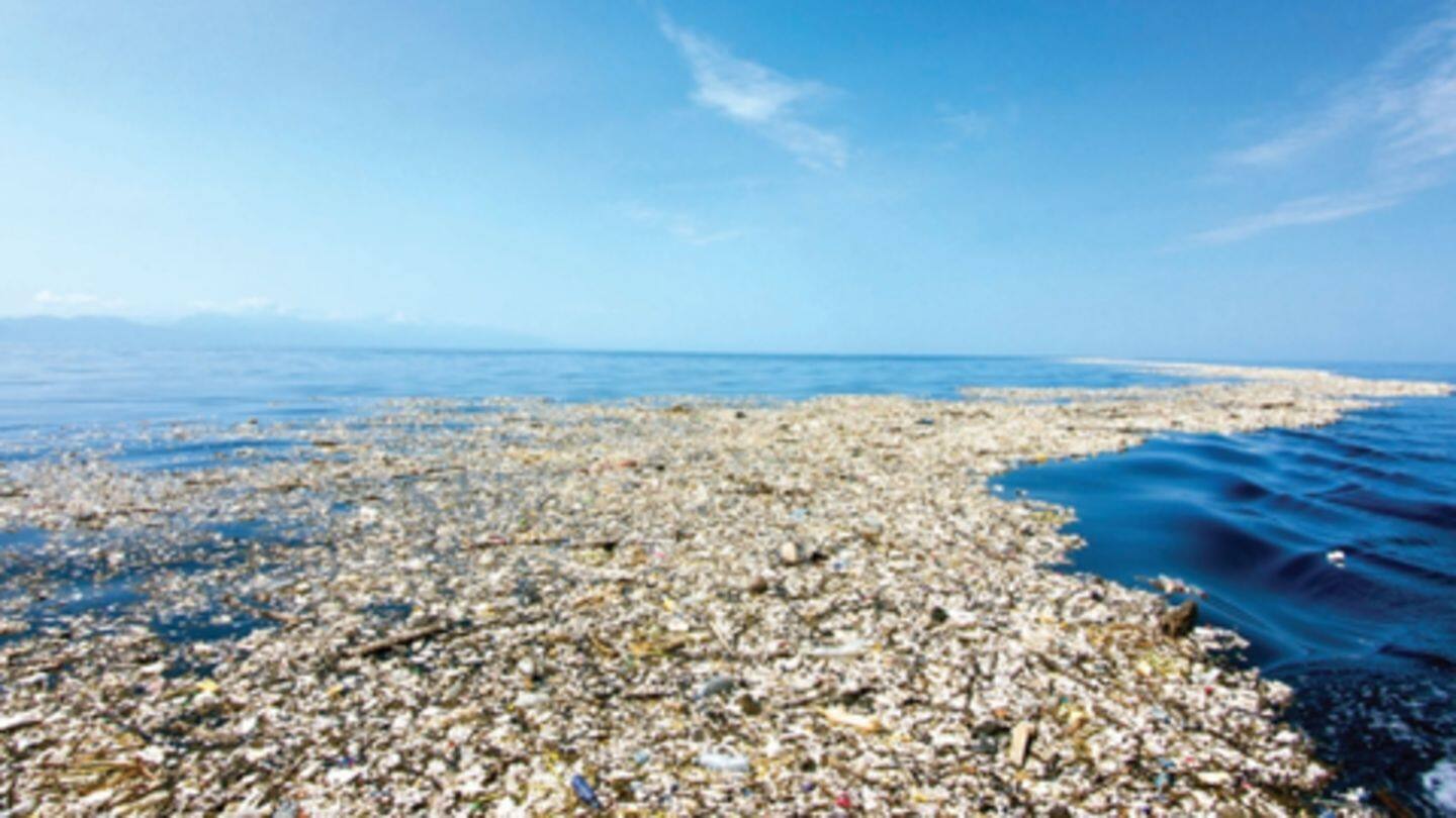 Pornhub also created a website to curb ocean pollution Pornhub also created a website to curb ocean pollution