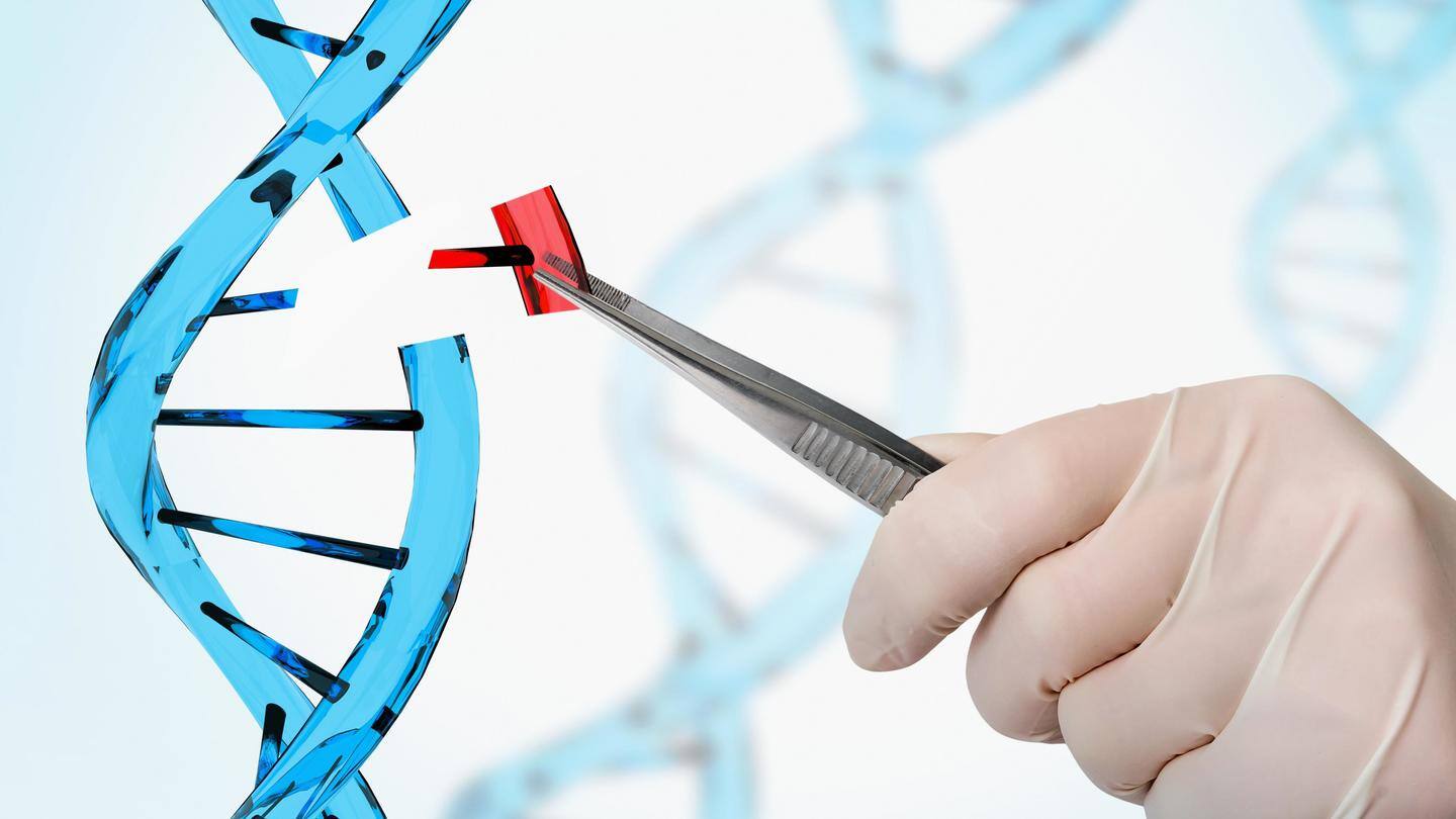 How they developed CRISPR? How they developed CRISPR?