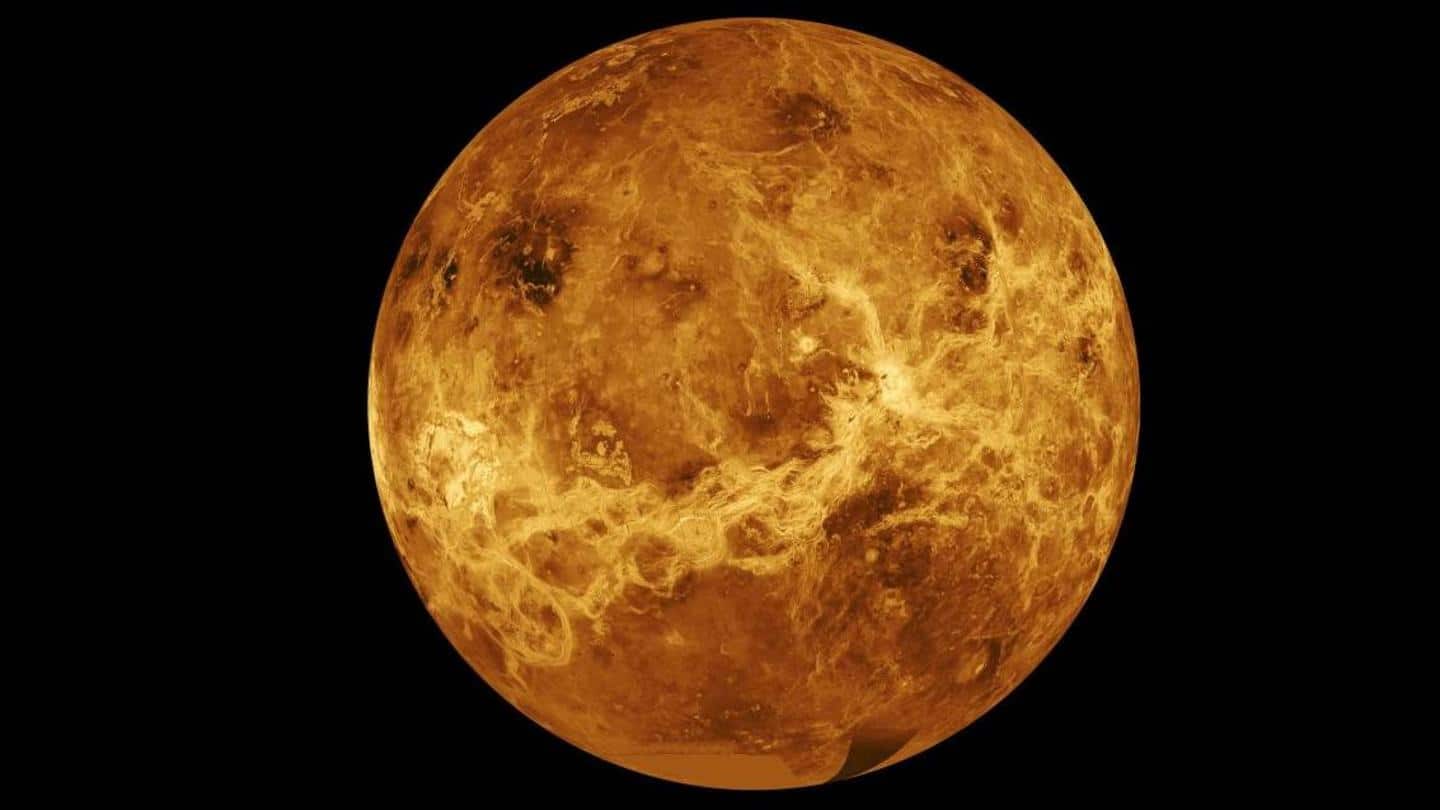 NewsBytes Briefing: Potential signs of life on Venus, and more