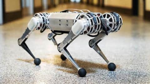 MIT's scary 'Mini Cheetah' robot can do backflips, resist kicks