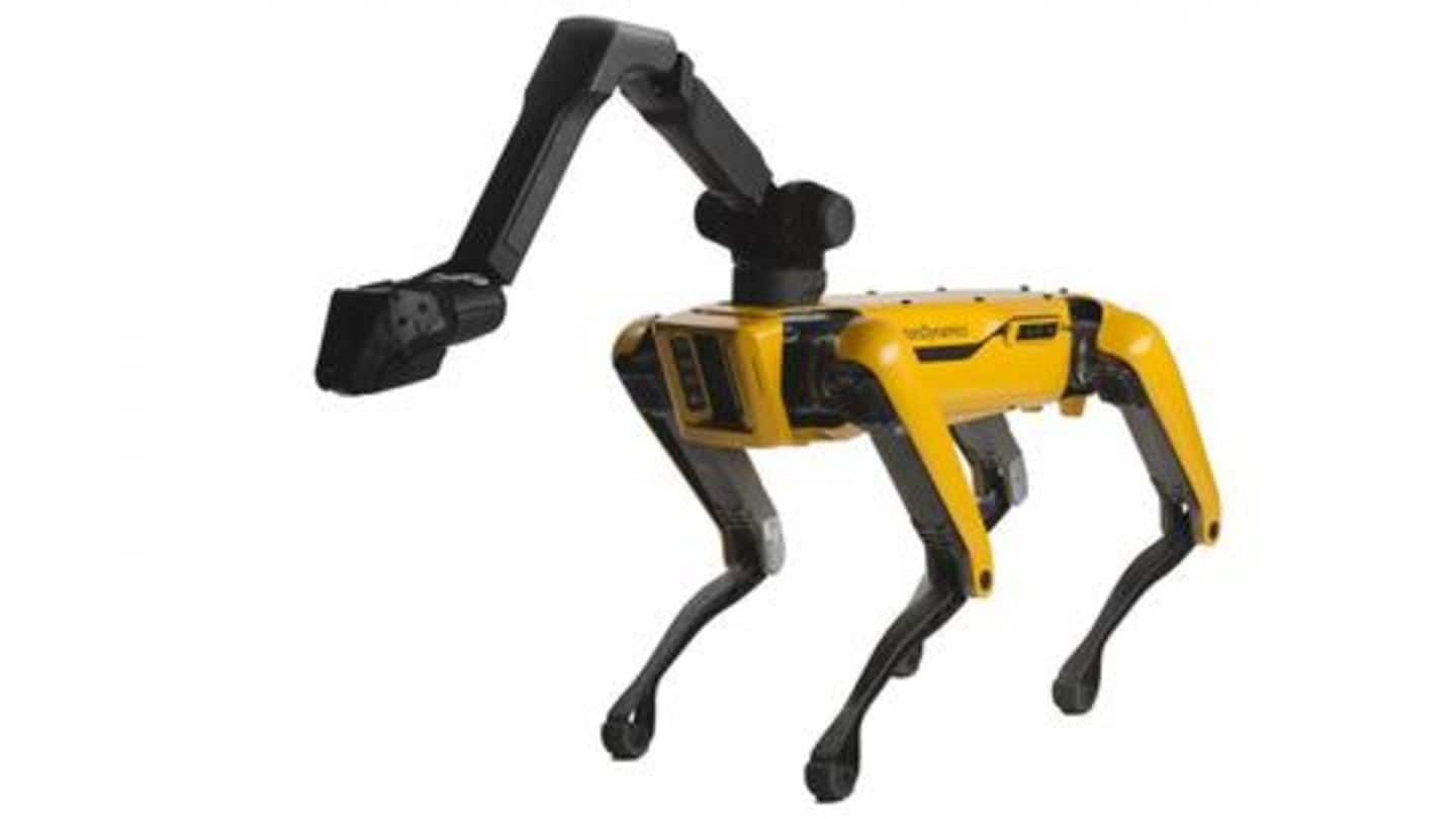 Soon, this 'robot-dog' from Boston Dynamics will go on sale
