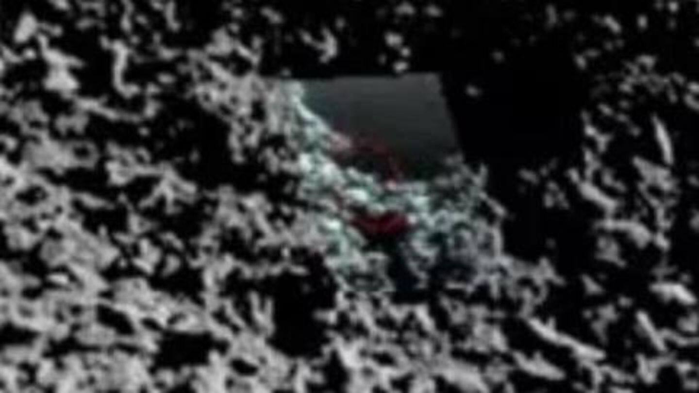 What the images show? What the images show?