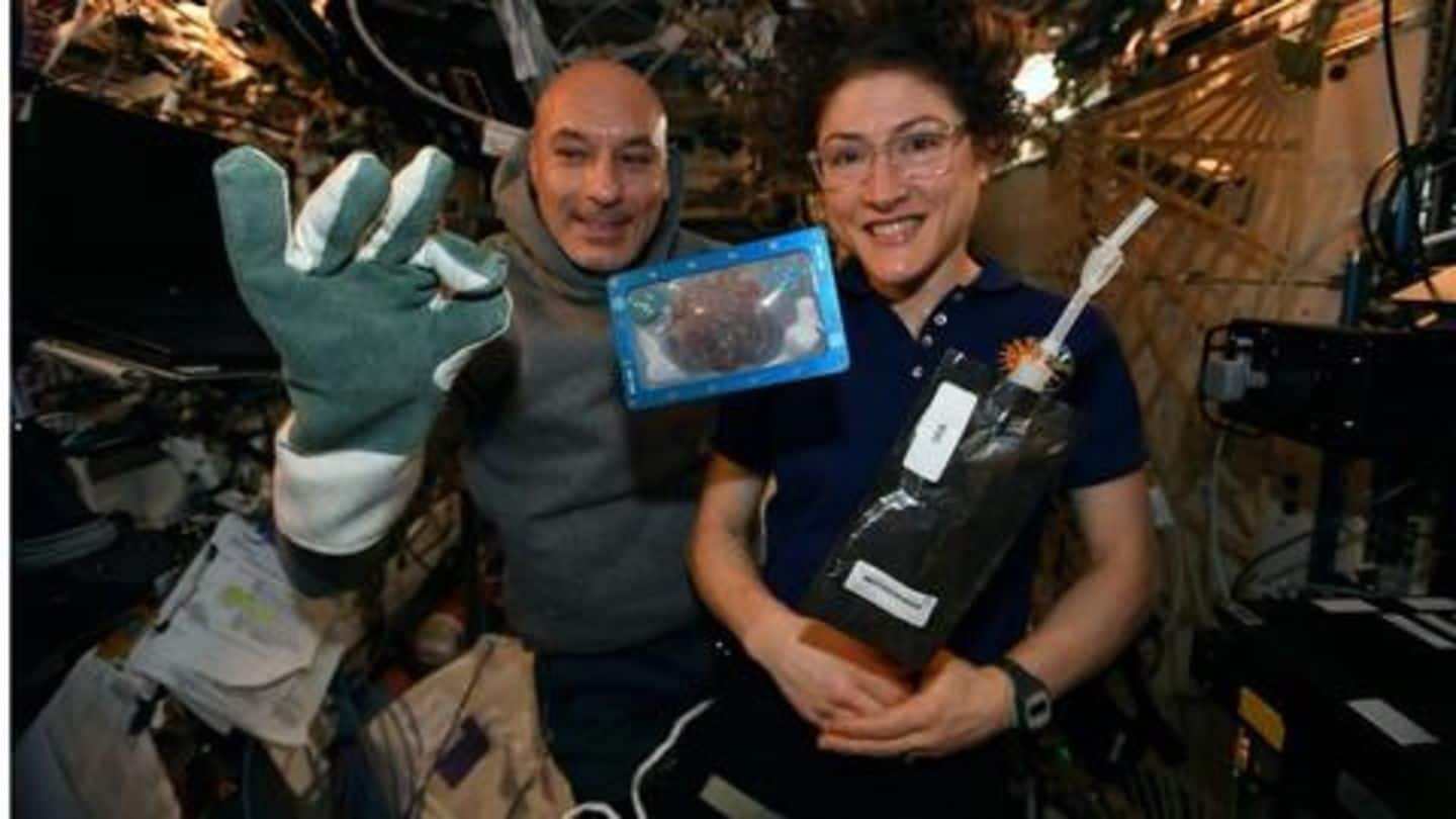 NASA, ESA astronauts baked 'space cookies' for the first time