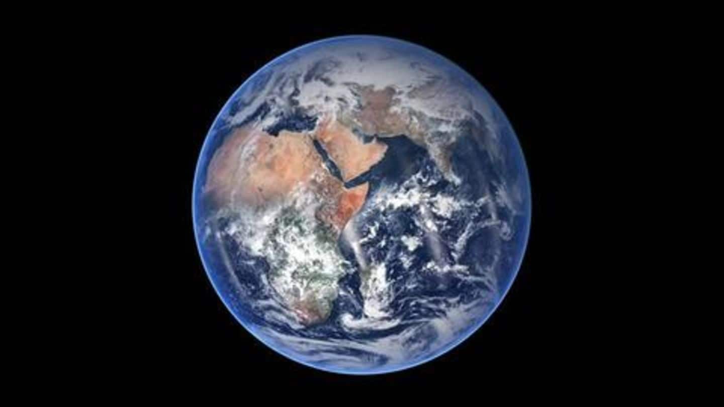Still, it just looks like a tiny seed from Earth Still, it just looks like a tiny seed from Earth